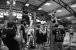 开云平台-“2025世界游泳锦标赛：水上芭蕾精彩纷呈，艺术之美与竞技并行”